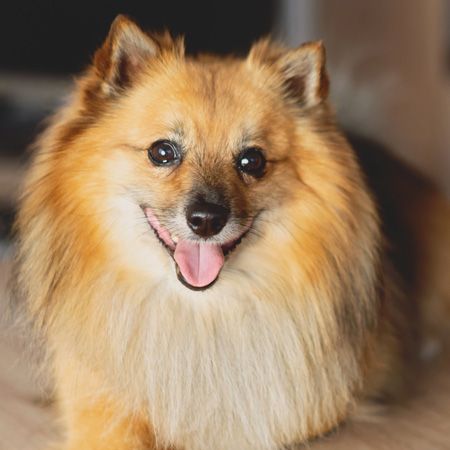 Max - Manažer ostrahy Max - Manažer ostrahy